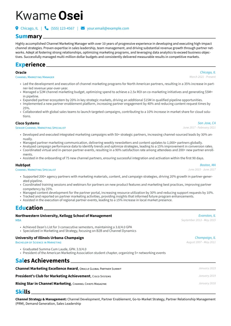 Channel Marketing Manager Resume Example CV template preview