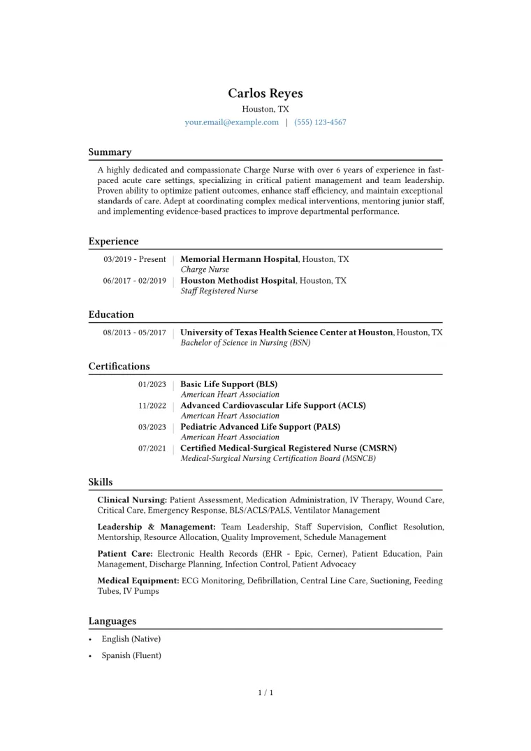 Charge Nurse Resume Example CV template preview