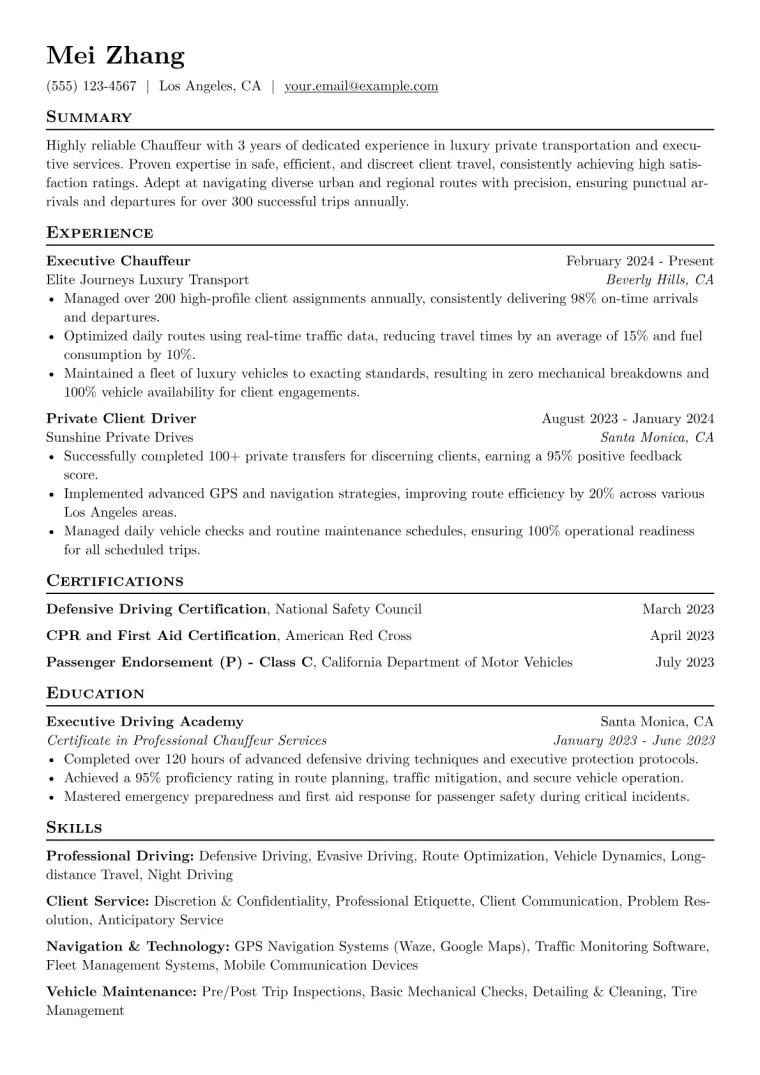 Chauffeur Resume Example CV template preview