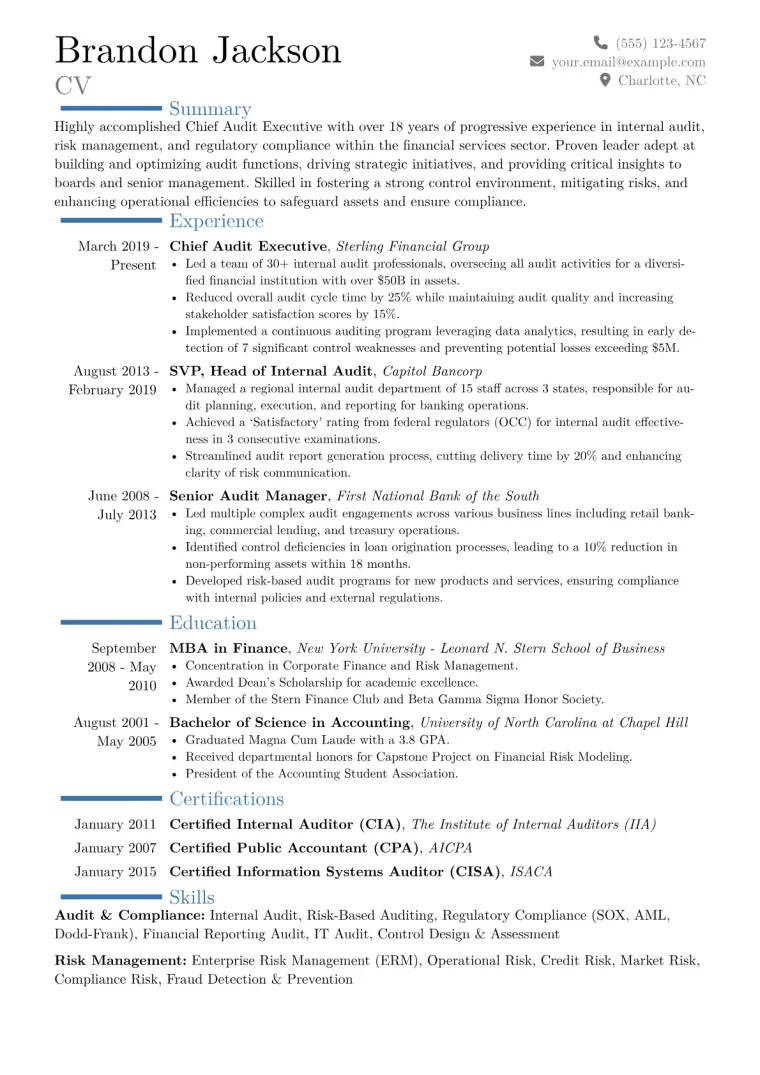 Chief Audit Executive Resume Example CV template preview