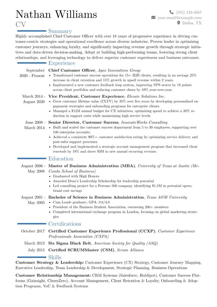 Chief Customer Officer Resume Example CV template preview