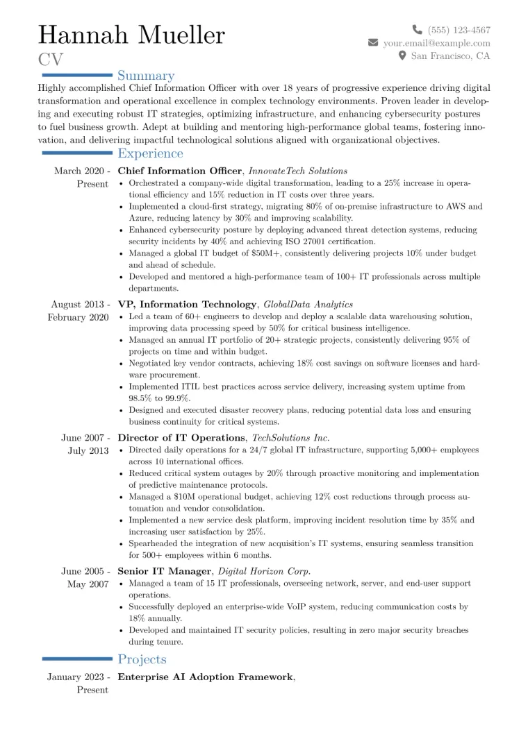 Chief Information Officer Resume Example CV template preview