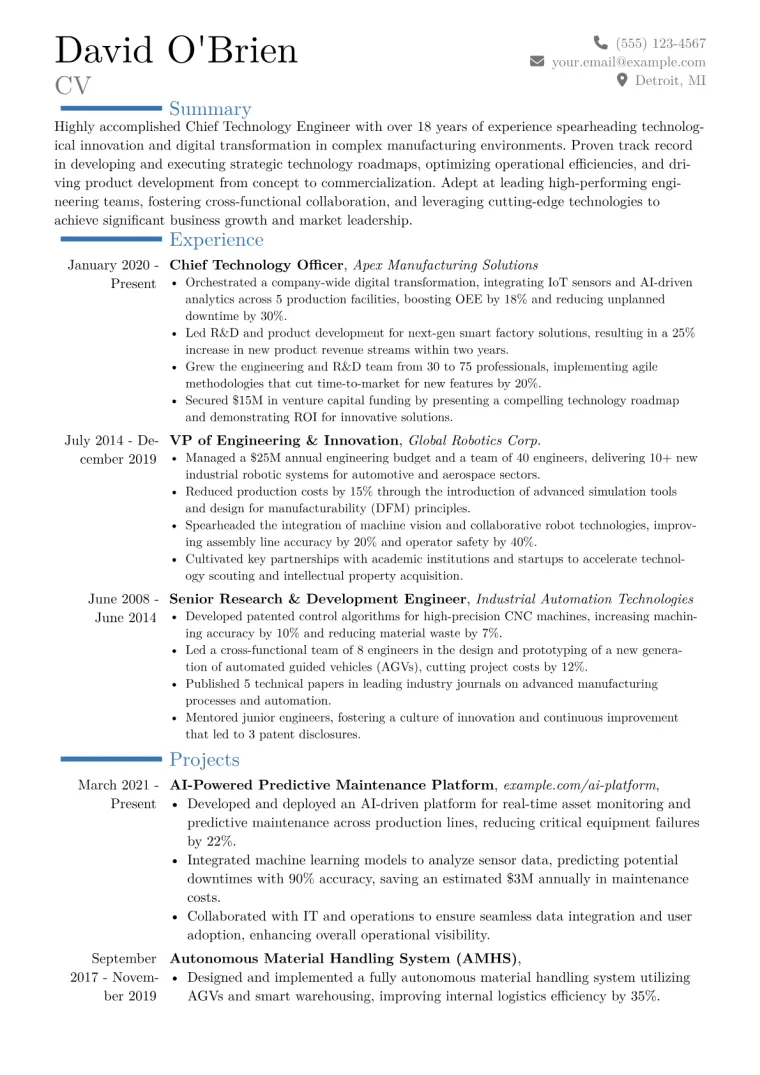 Chief Technology Engineer Resume Example CV template preview