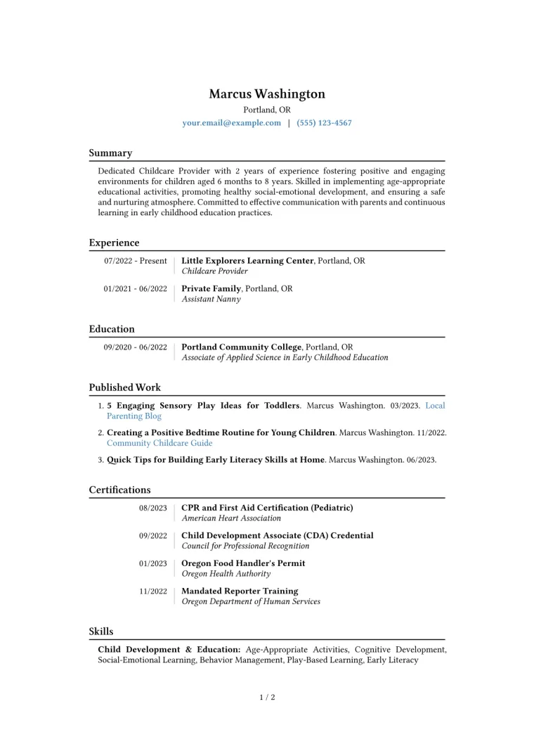 Childcare Provider Resume Example CV template preview