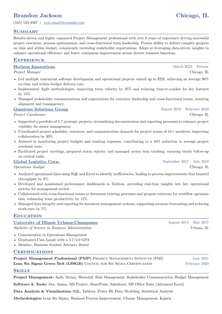 Chronological Resume Example CV template preview