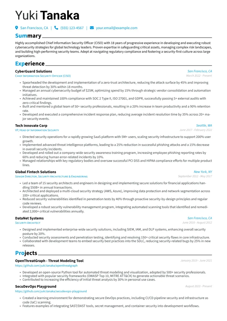 CISO Resume Example preview