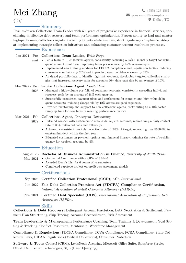 Collections Team Leader Resume Example CV template preview