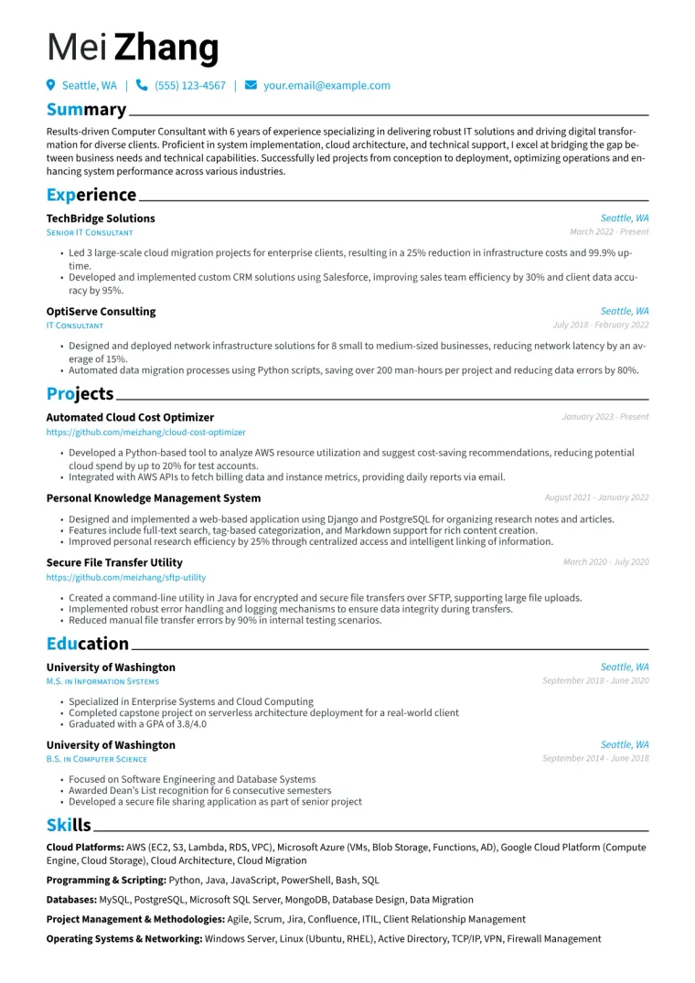 Computer Consultant Resume Example CV template preview