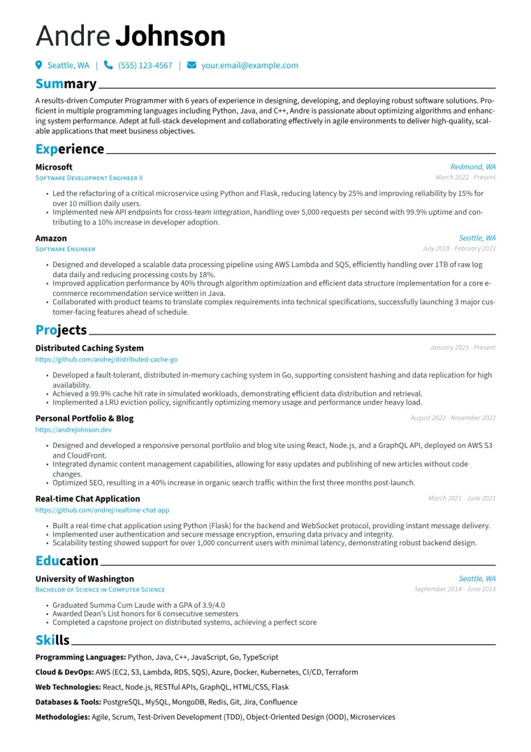 Computer Programmer Resume Example CV template preview