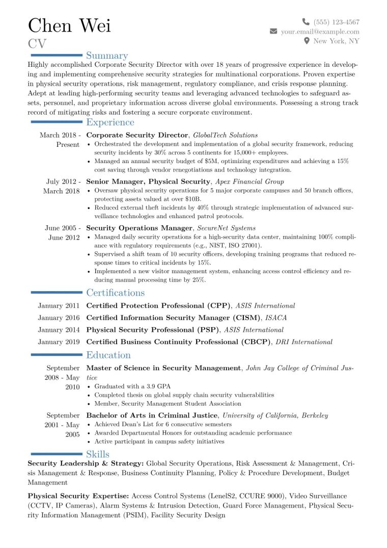 Corporate Security Director Resume Example CV template preview