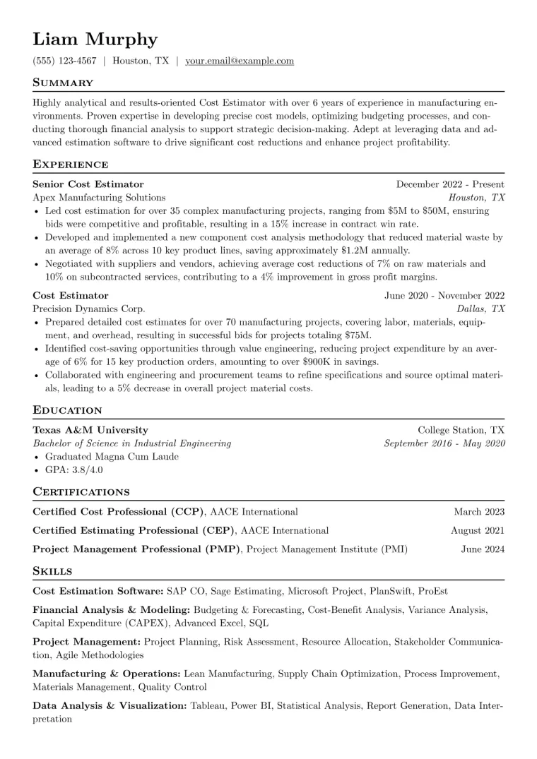 Cost Estimator Resume Example CV template preview