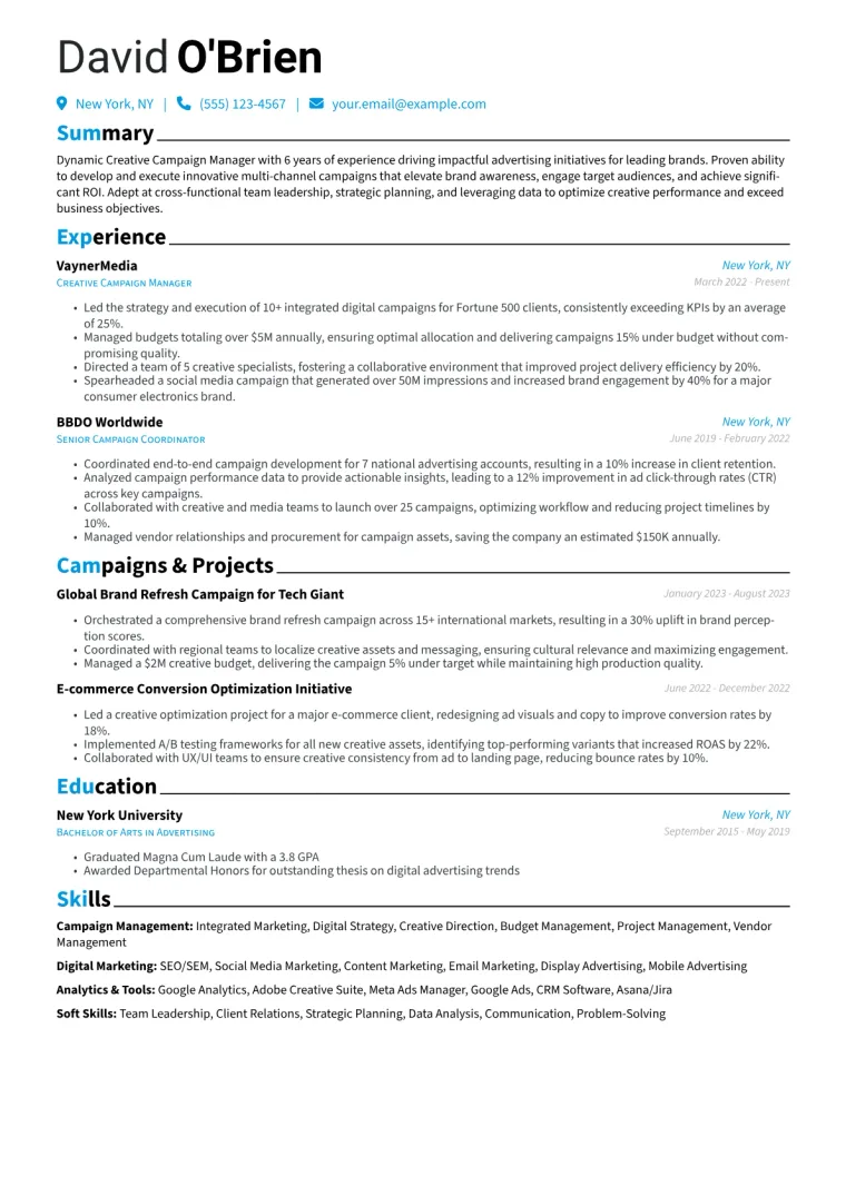 Creative Campaign Manager Resume Example CV template preview