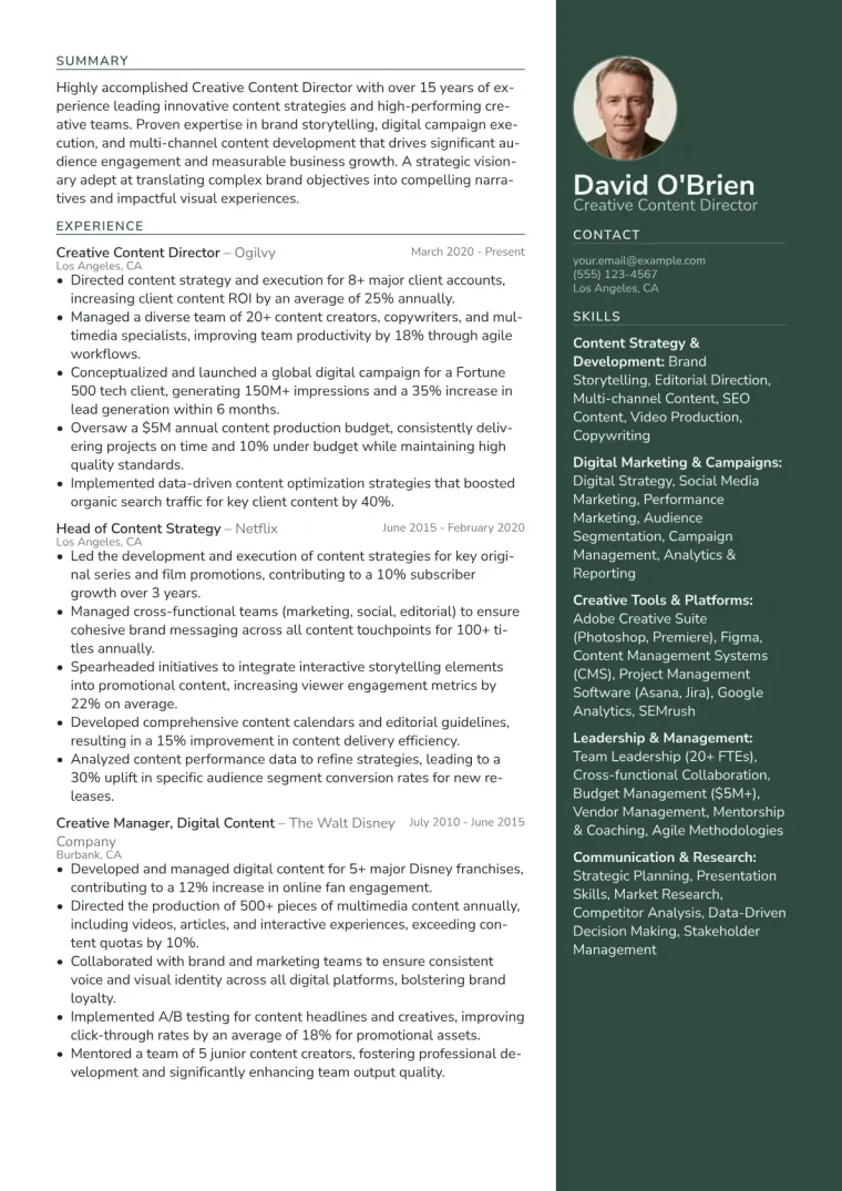 Creative Content Director Resume Example CV template preview
