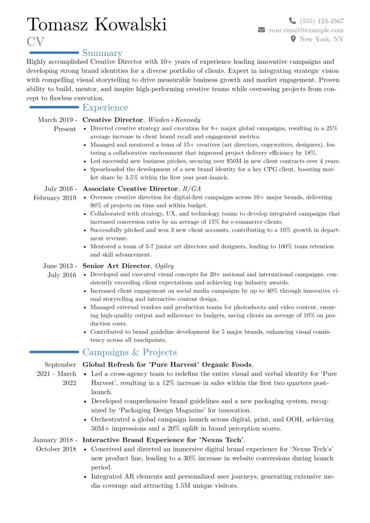 Creative Director Resume Example CV template preview