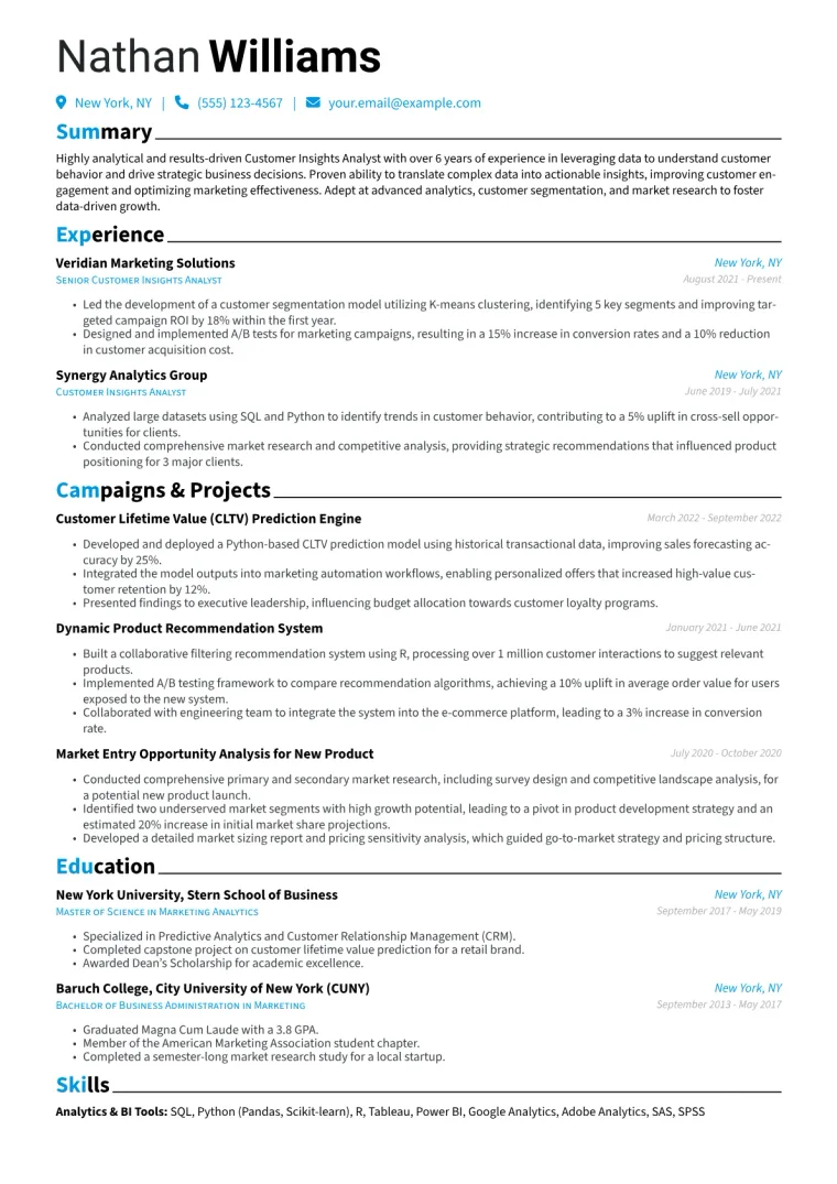 Customer Insights Analyst Resume Example CV template preview