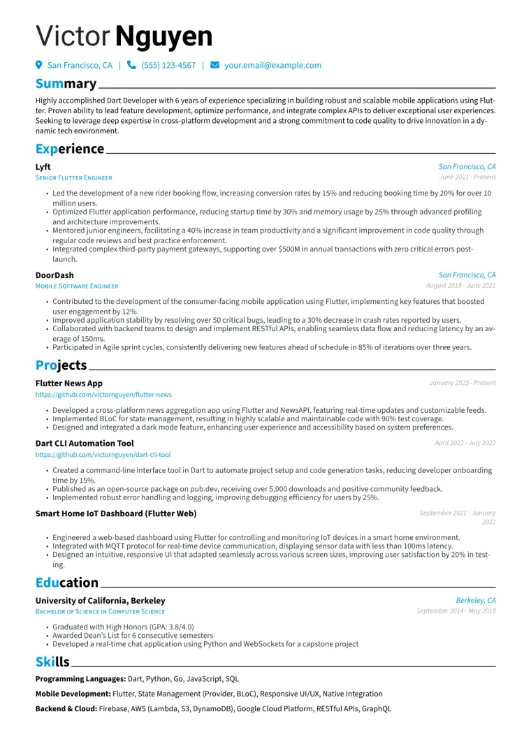 Dart Developer Resume Example CV template preview