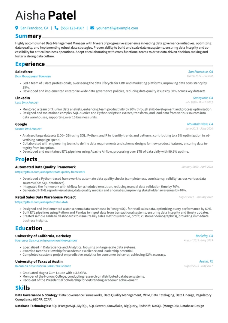 Data Management Manager Resume Example CV template preview