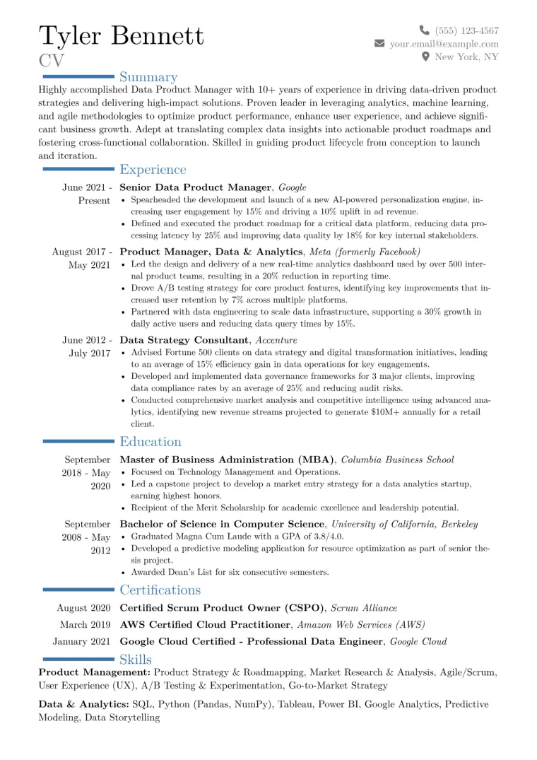 Data Product Manager Resume Example CV template preview
