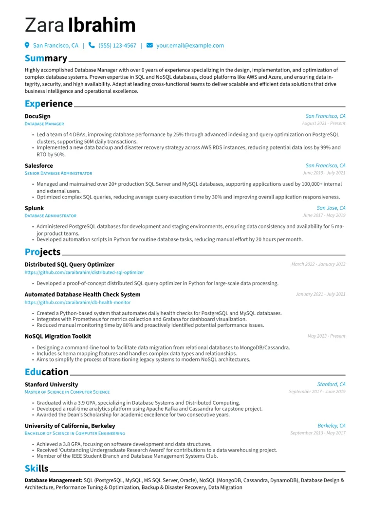 Database Manager Resume Example CV template preview