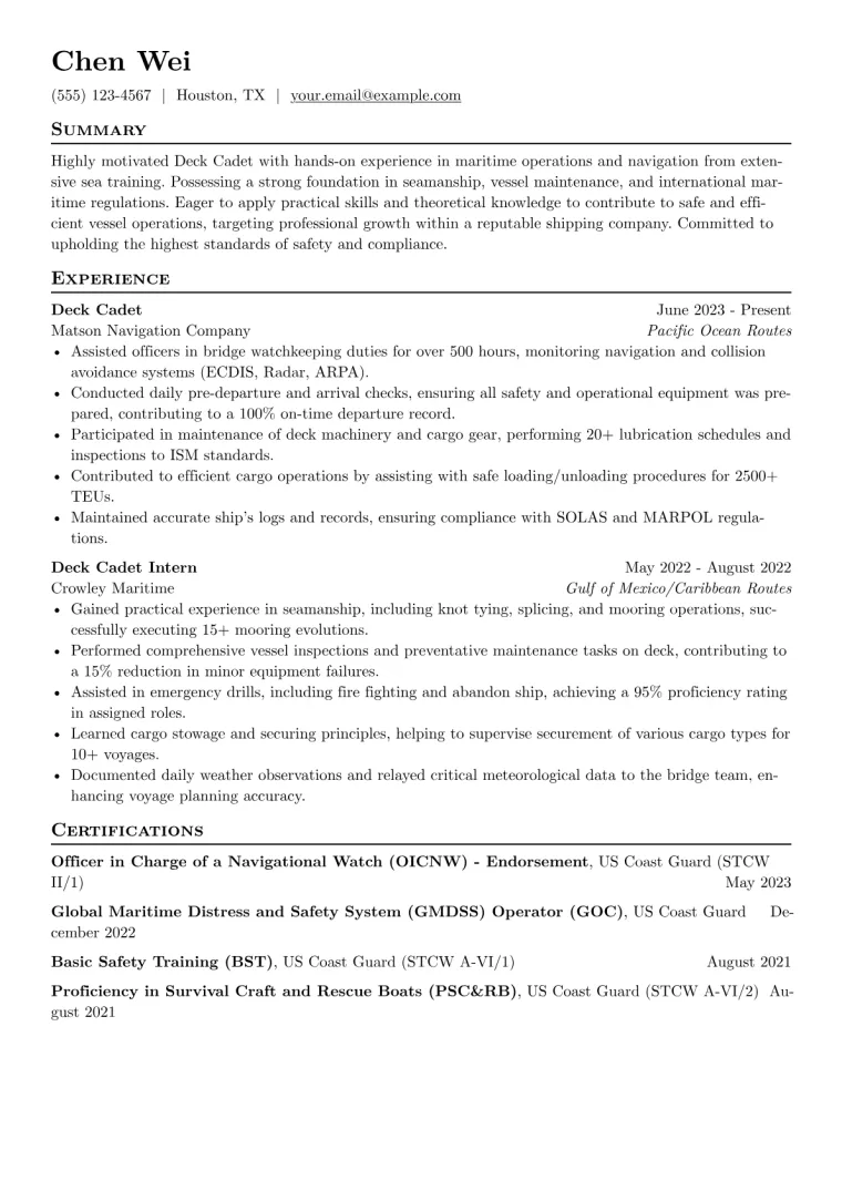 Deck Cadet Resume Example CV template preview