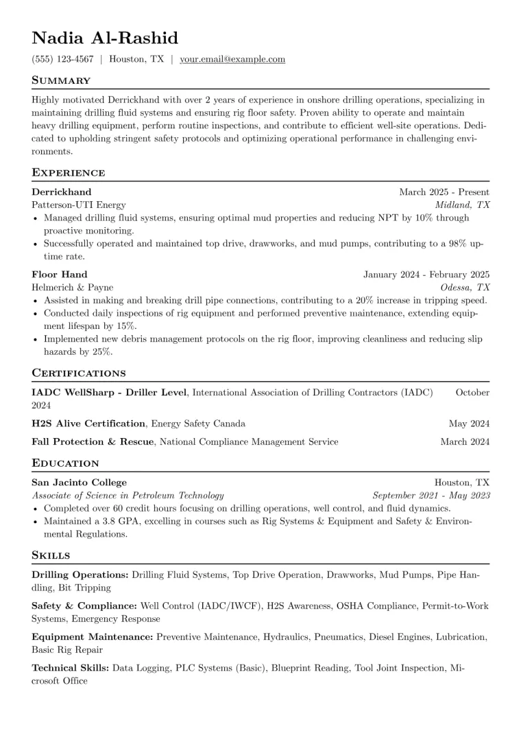 Derrickhand Resume Example CV template preview