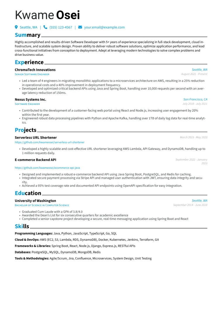 Developer Resume Example CV template preview