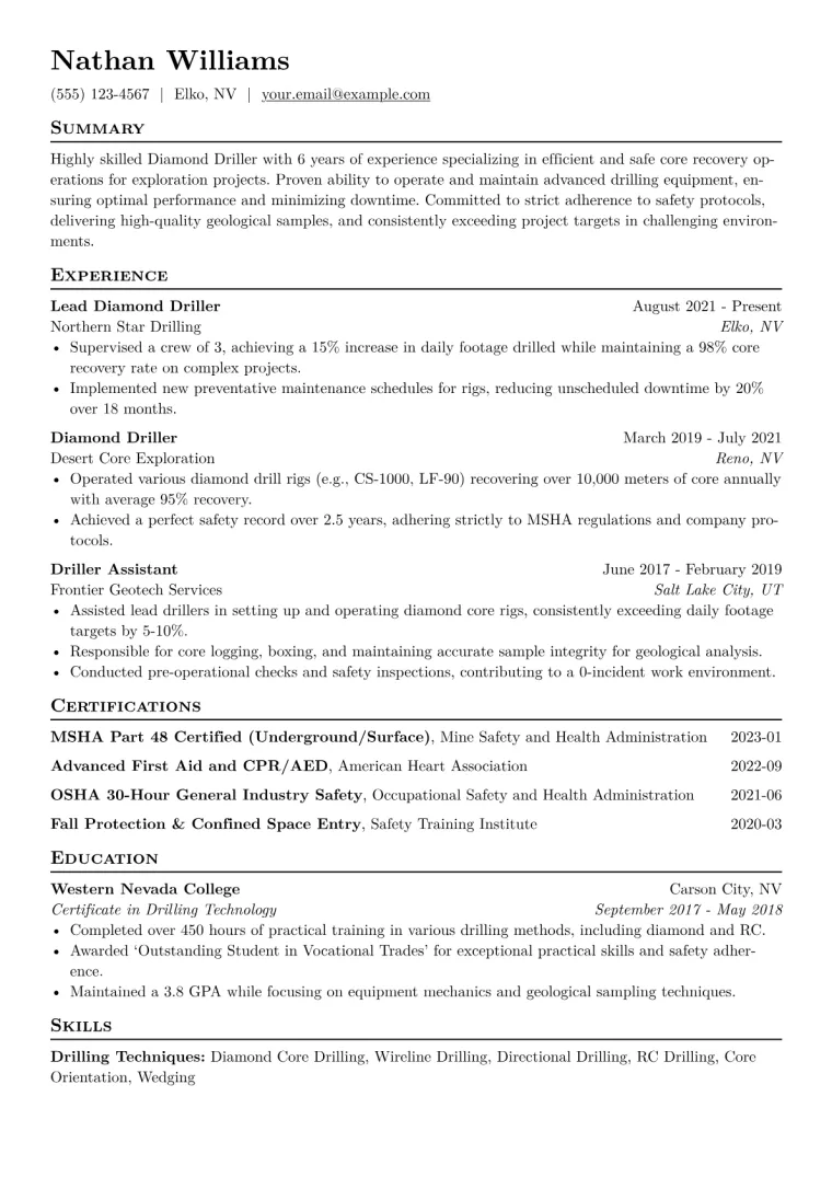 Diamond Driller Resume Example CV template preview