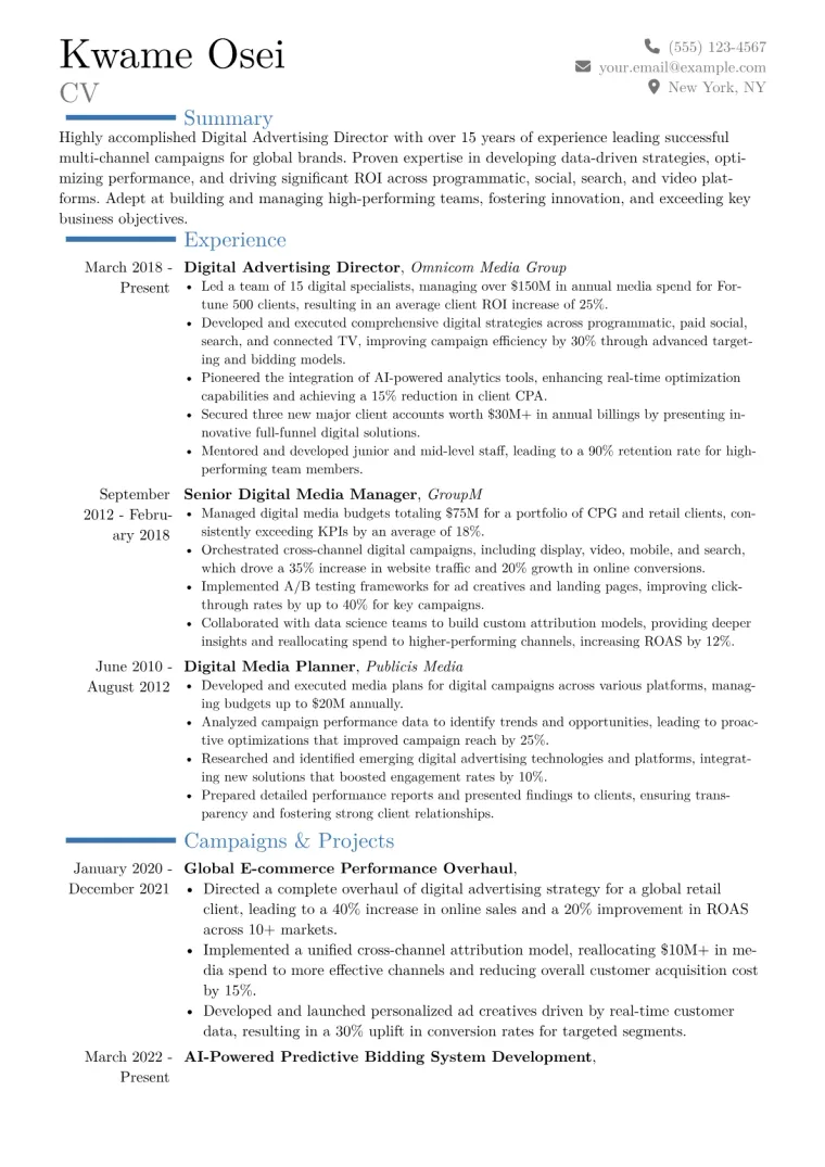 Digital Advertising Director Resume Example CV template preview