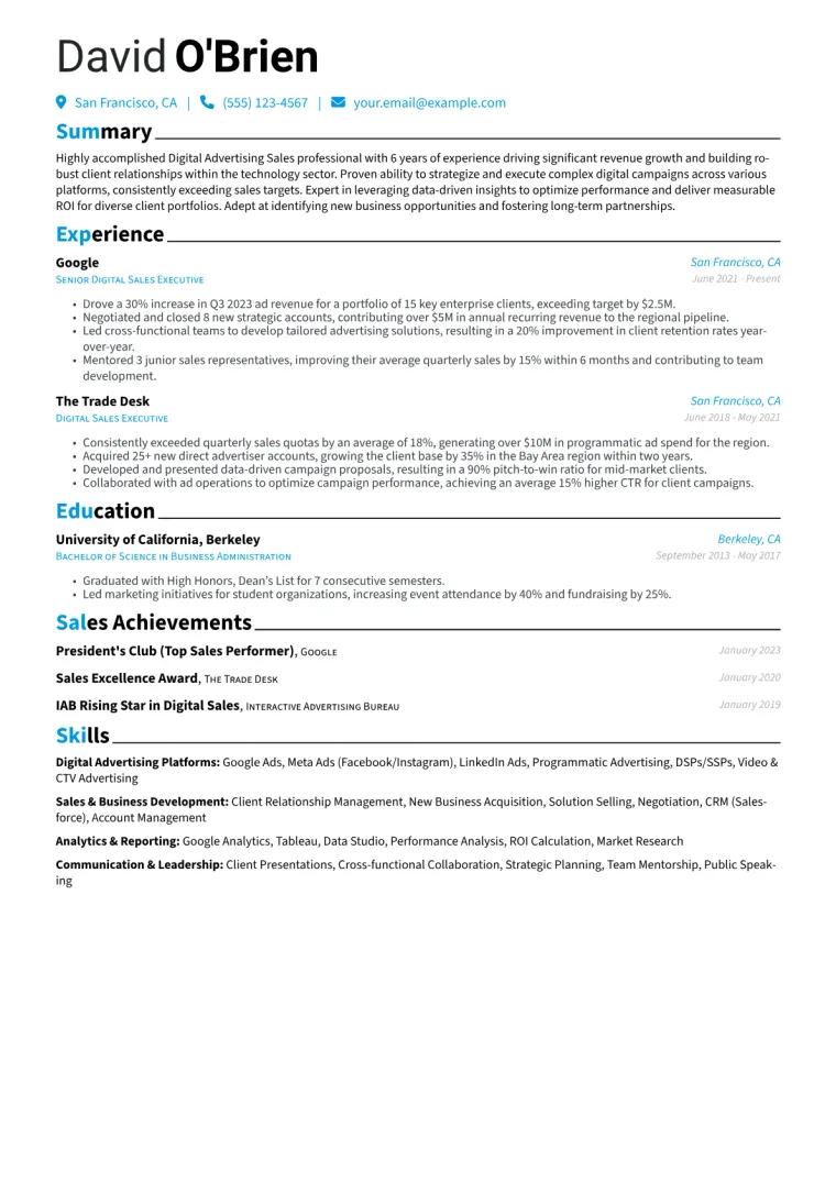 Digital Advertising Sales Resume Example CV template preview