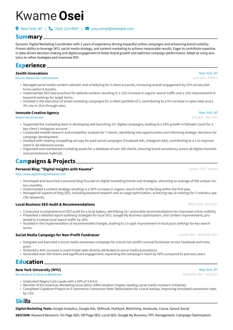 Digital Marketing Coordinator Resume Example CV template preview