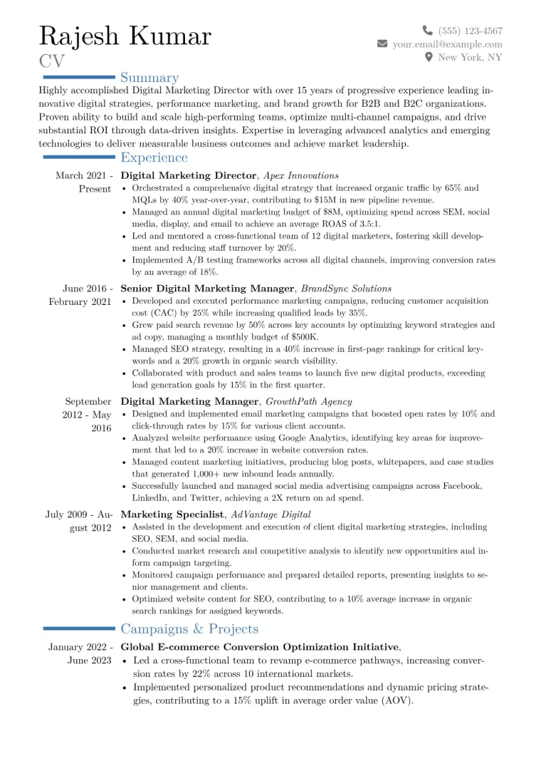 Digital Marketing Director Resume Example CV template preview