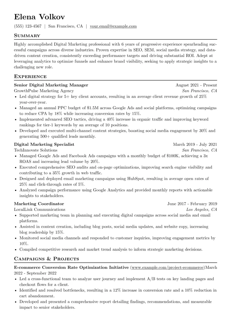 Digital Marketing Resume Example CV template preview