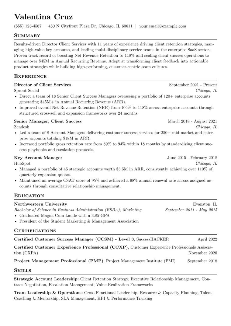 Director Client Services Resume Example preview