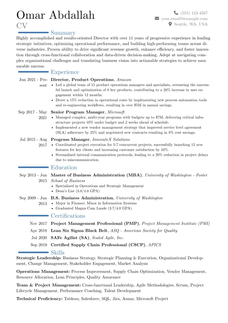 Director Level Resume Example preview