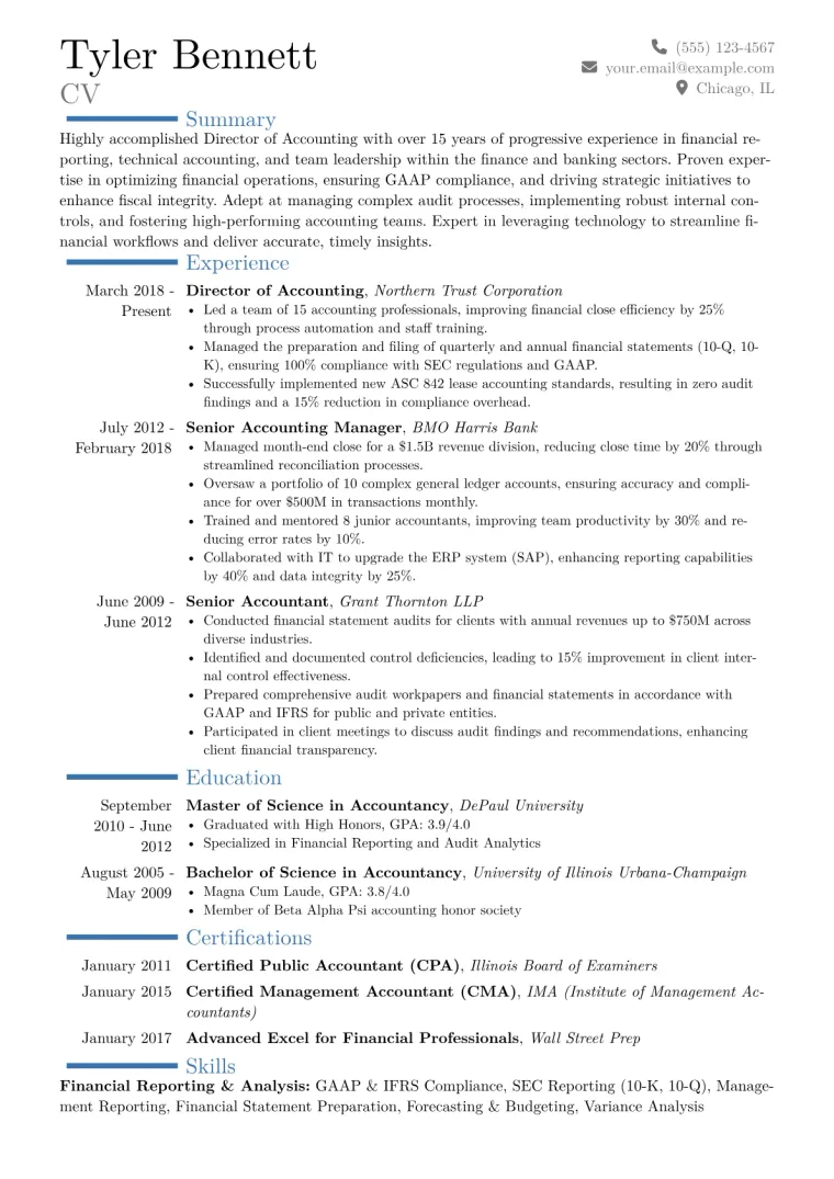 Director of Accounting Resume Example CV template preview