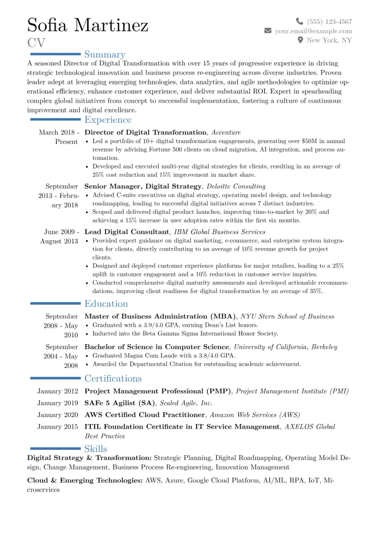 Director of Digital Transformation Resume Example CV template preview