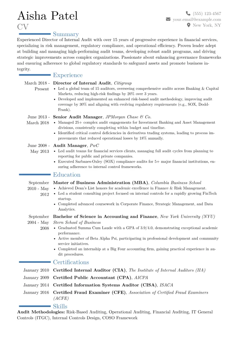 Director of Internal Audit Resume Example CV template preview