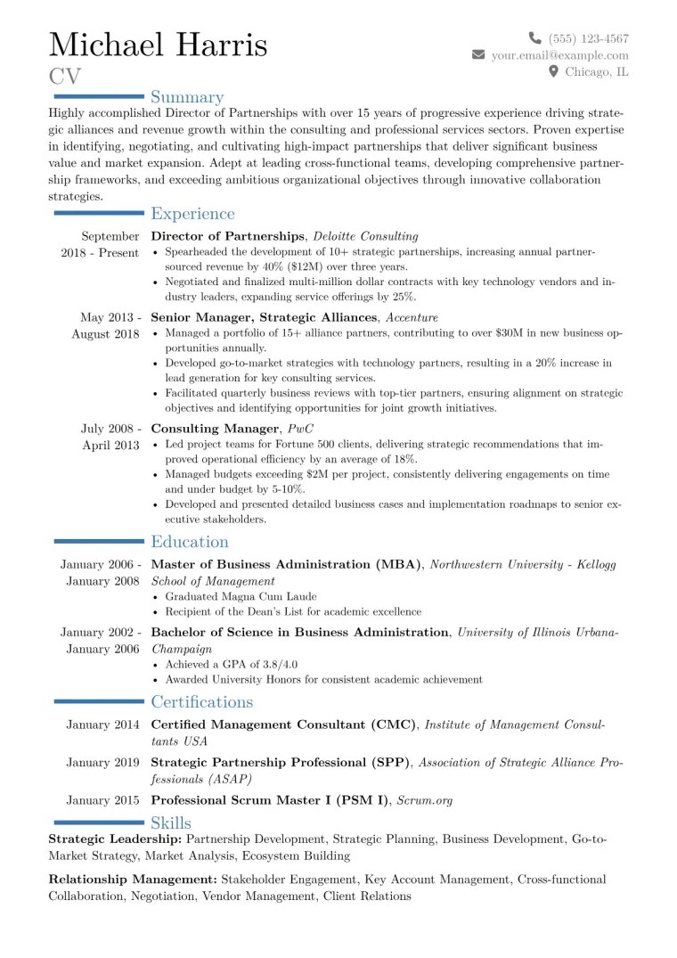 Director of Partnerships Resume Example CV template preview
