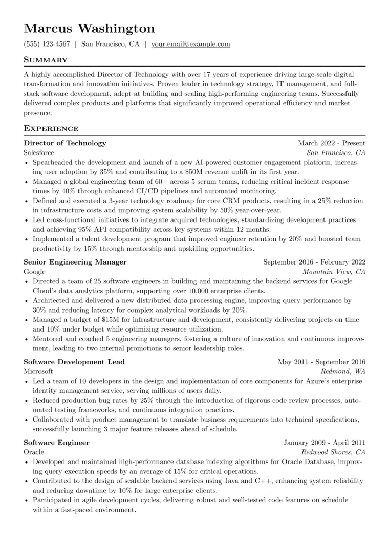 Director of Technology Resume Example CV template preview