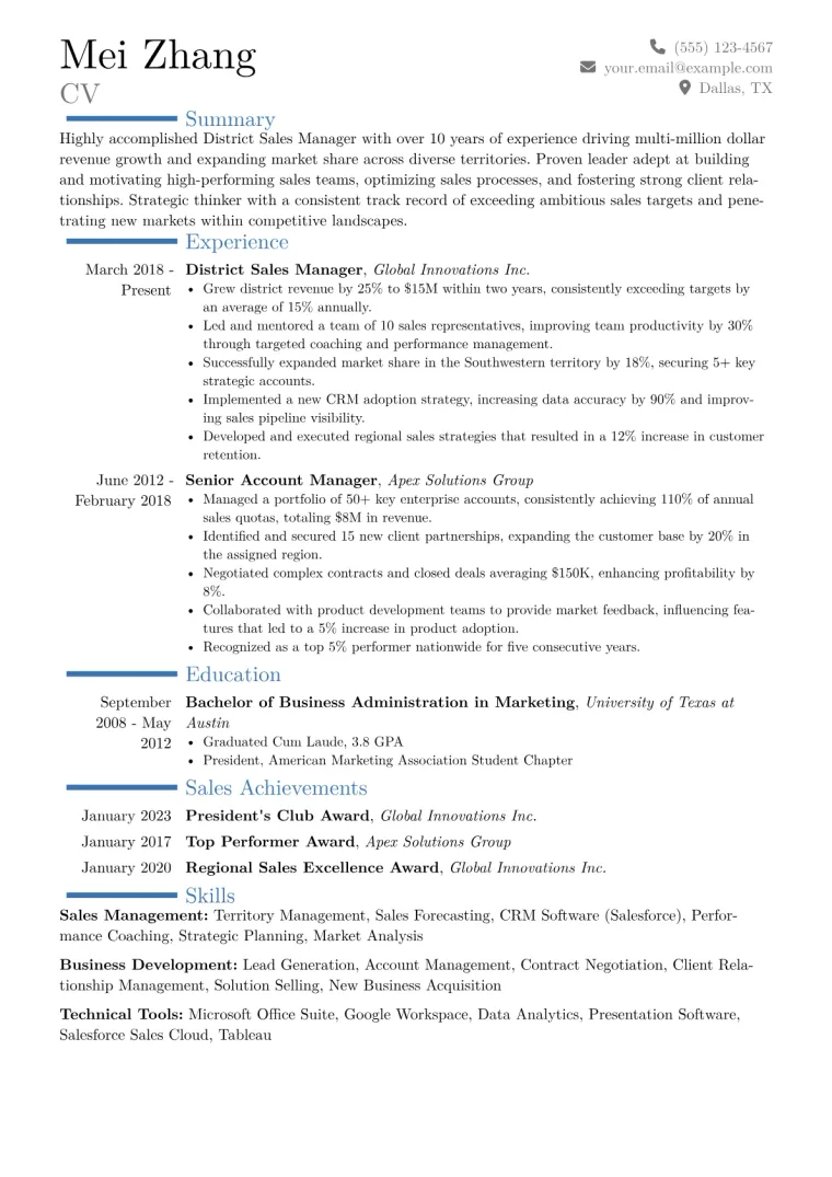 District Sales Manager Resume Example CV template preview