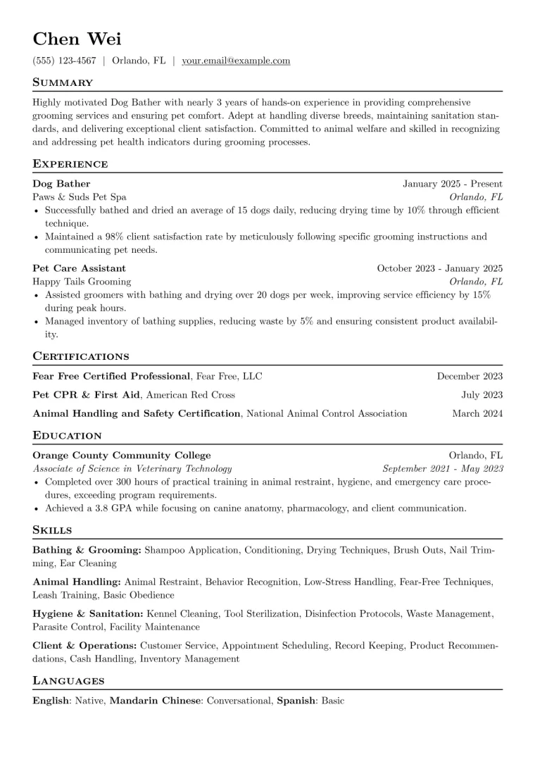Dog Bather Resume Example CV template preview