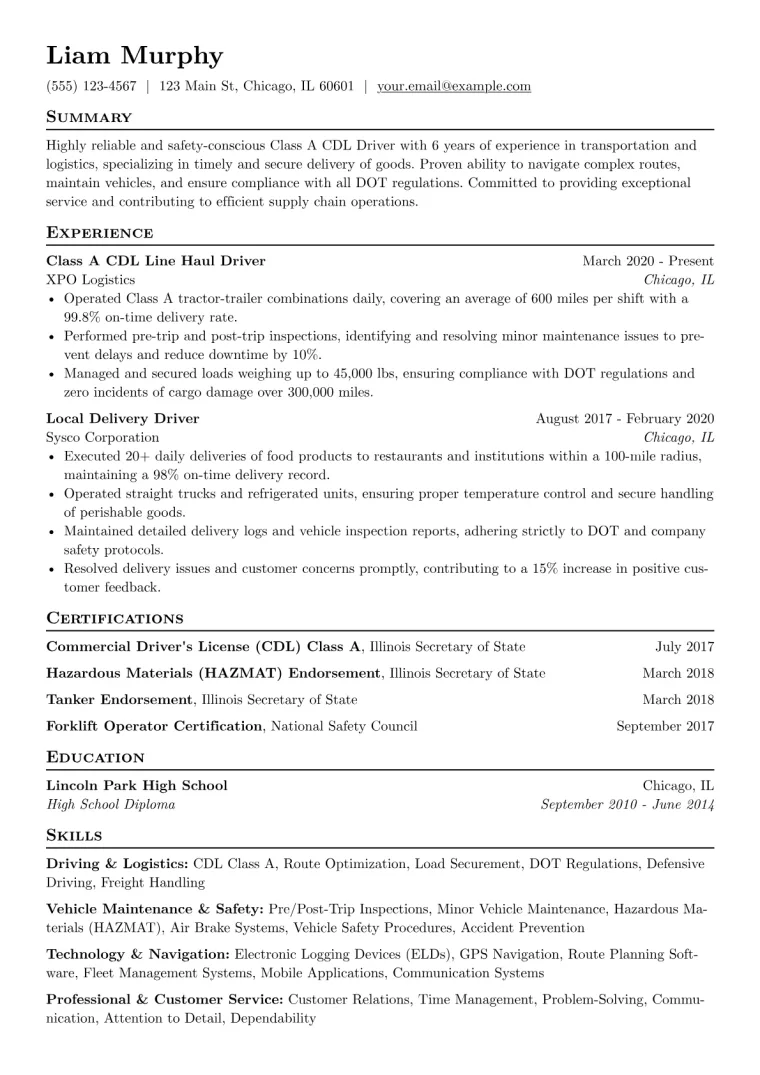 Driver Resume Example CV template preview