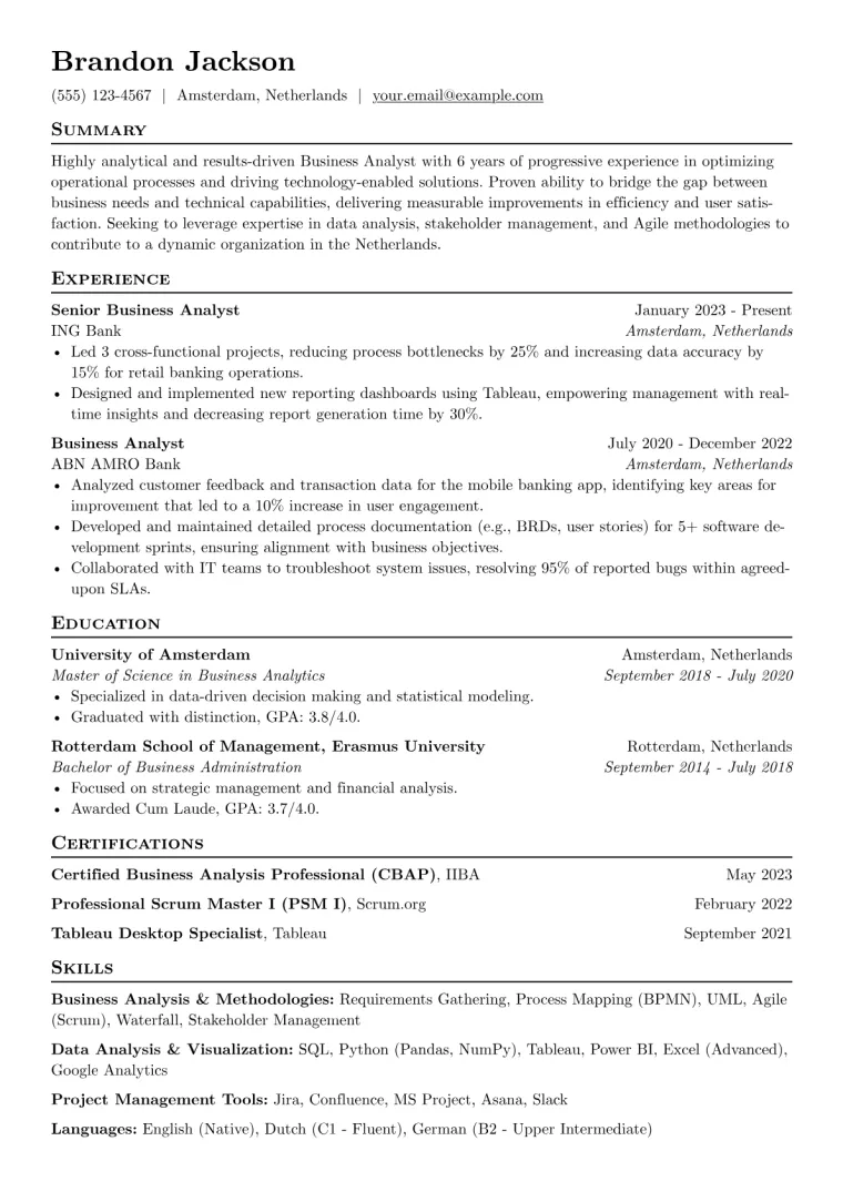 Dutch CV Example preview
