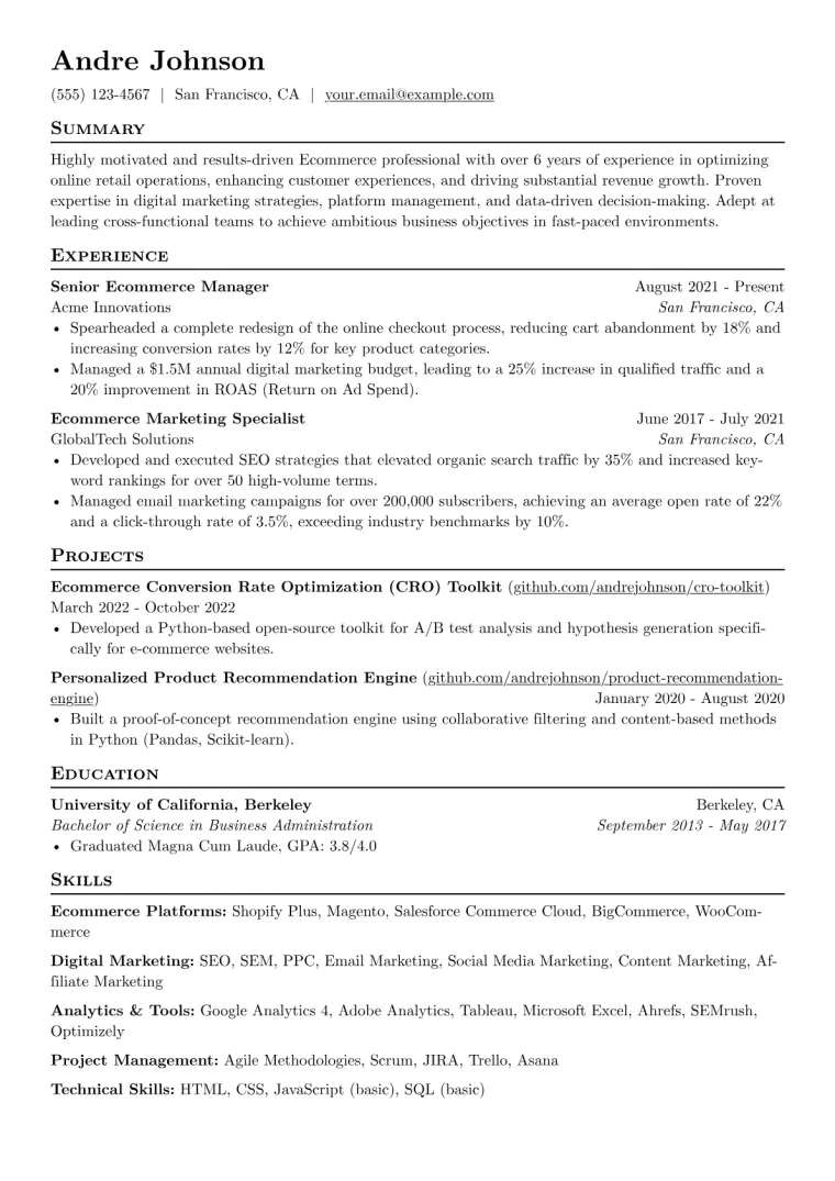 Ecommerce Resume Example CV template preview