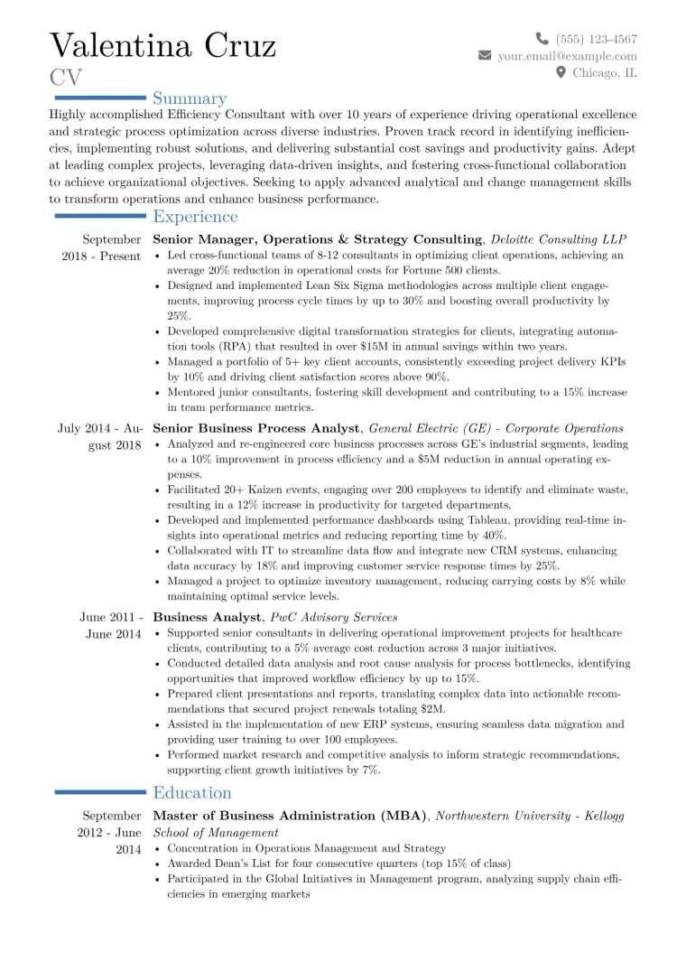 Efficiency Consultant Resume Example CV template preview