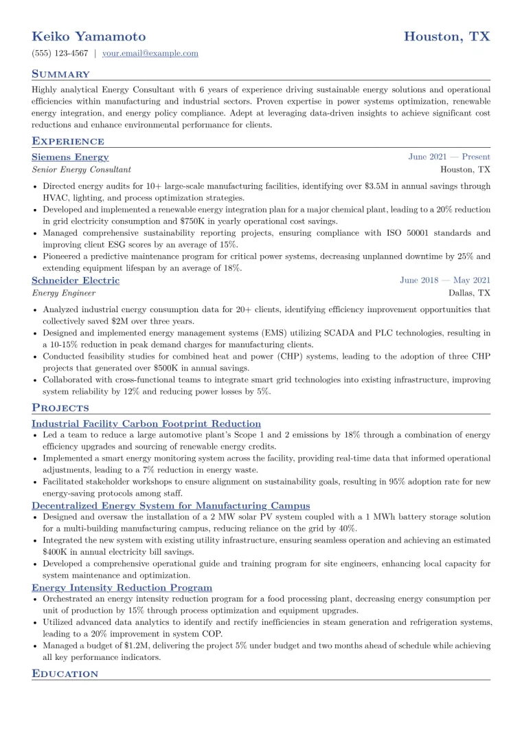 Energy Consultant Resume Example CV template preview