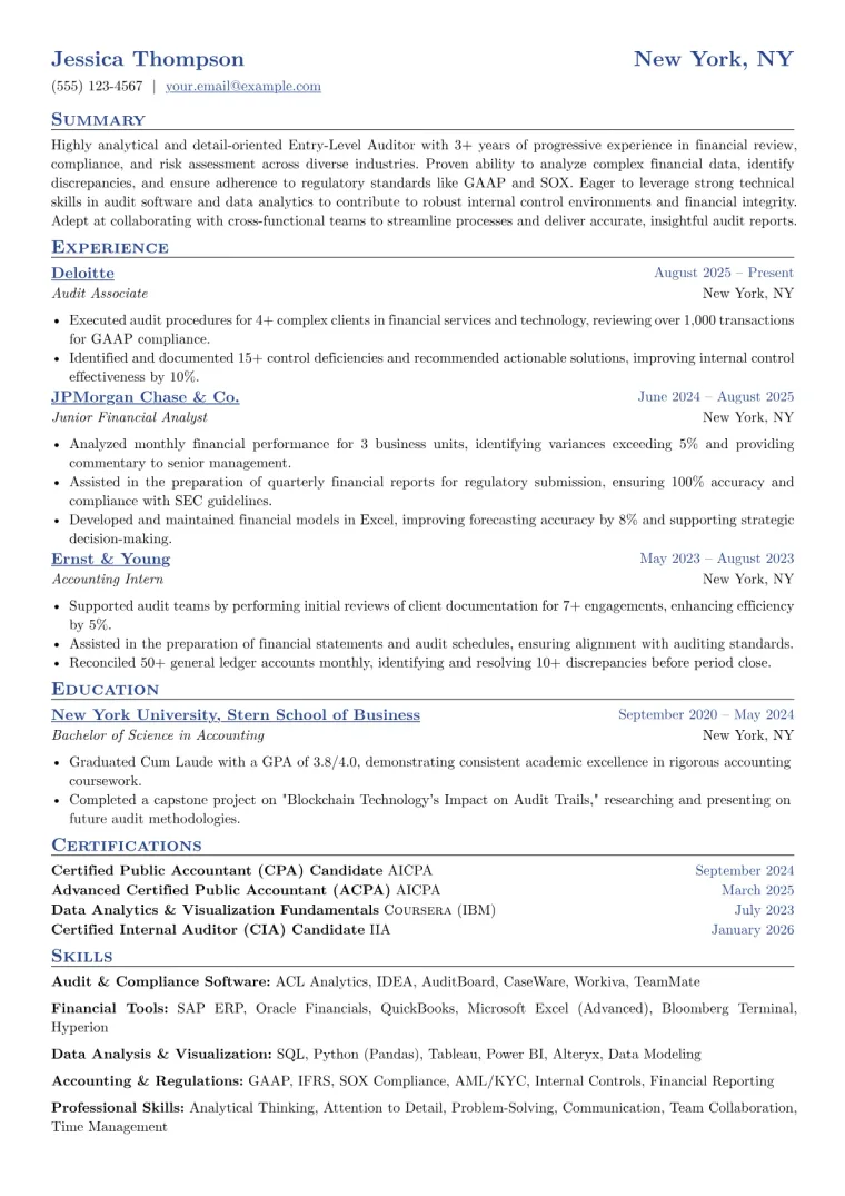 Entry-Level Auditor Resume Example preview
