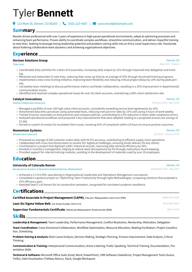 Entry Level Supervisor Resume Example CV template preview