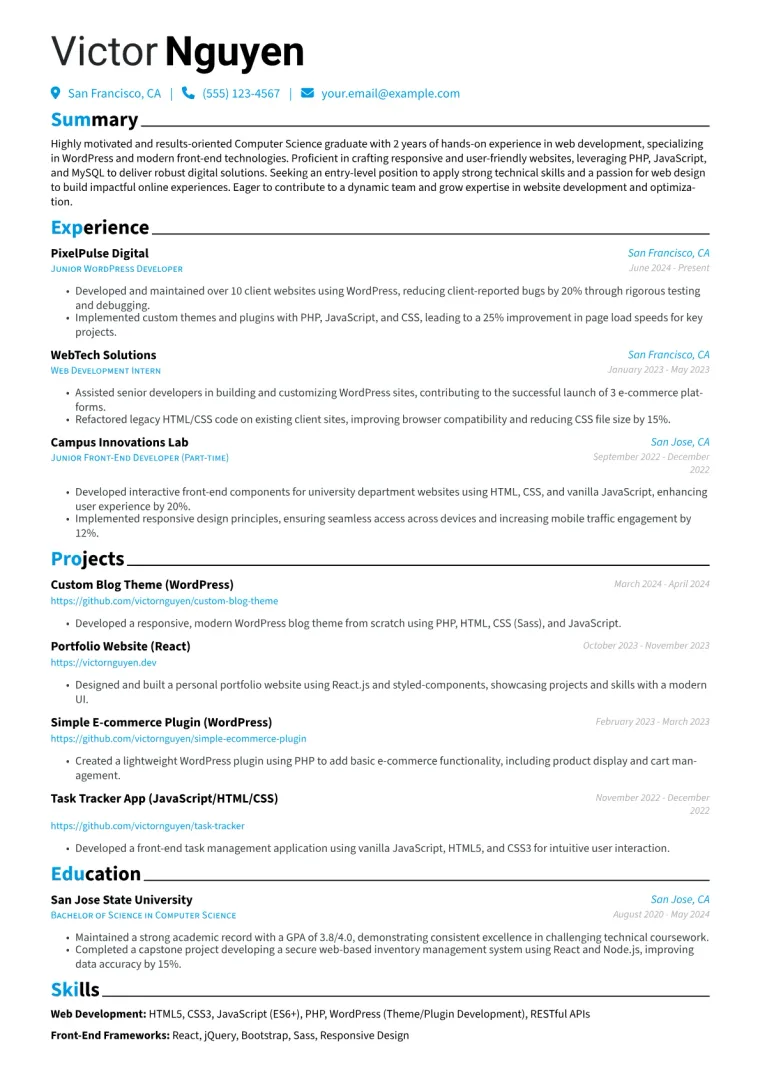 Entry Level WordPress Developer Resume Example CV template preview