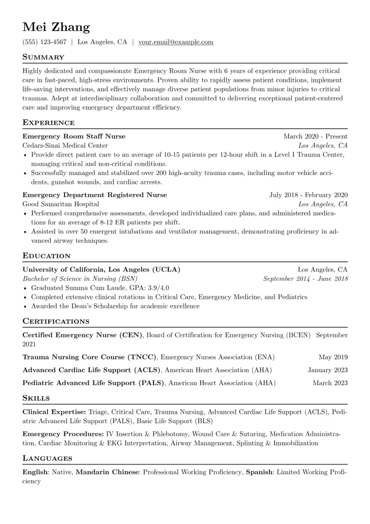 ER Nurse Resume Example CV template preview